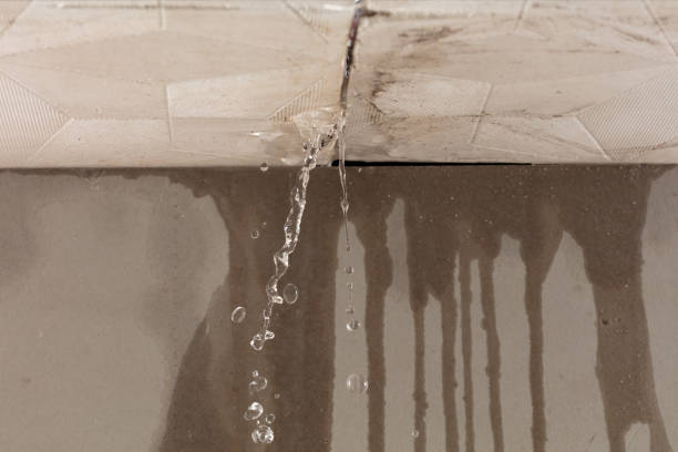 Professional Flood Damage Cleanup technician working in Cornish, UT